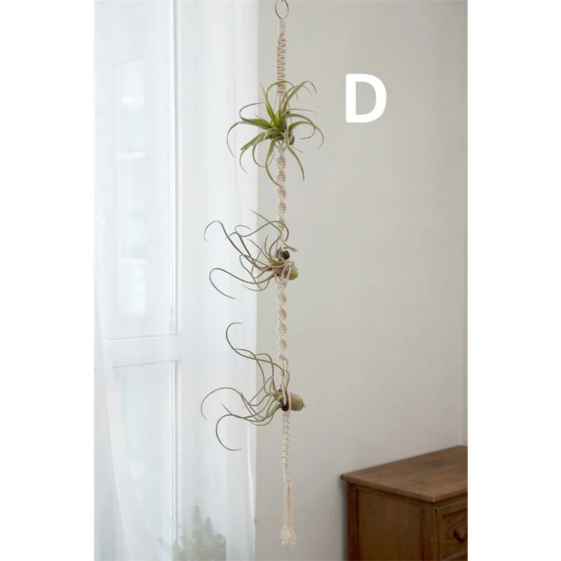 Suspension Macramé Plante